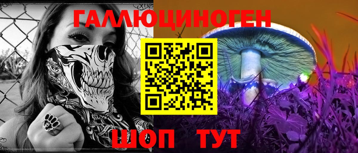 хочу наркоту  Вход с VPN  Торжок  Псилоцибиновые грибы мицелий 