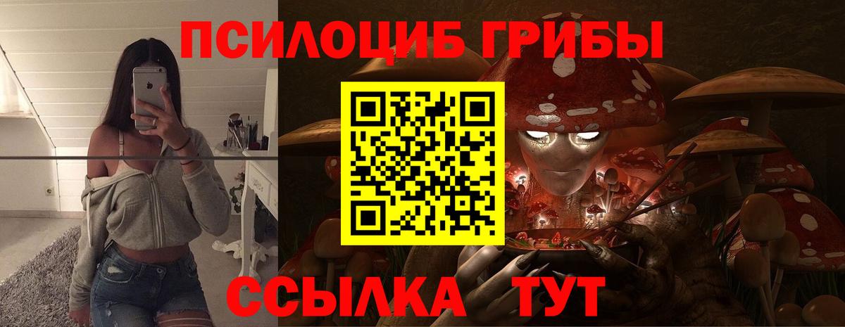 Псилоцибиновые грибы Psilocybine cubensis Торжок